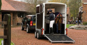 HB506 Ifor Williams Horse Boxes, Westwood New Trailers