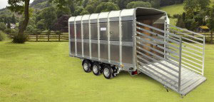 DP120 14 Ifor Williams Livestock, Westwood New Trailers