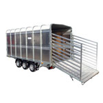 TA5 8 Ifor Williams Livestock, Westwood New Trailers, Low Headroom