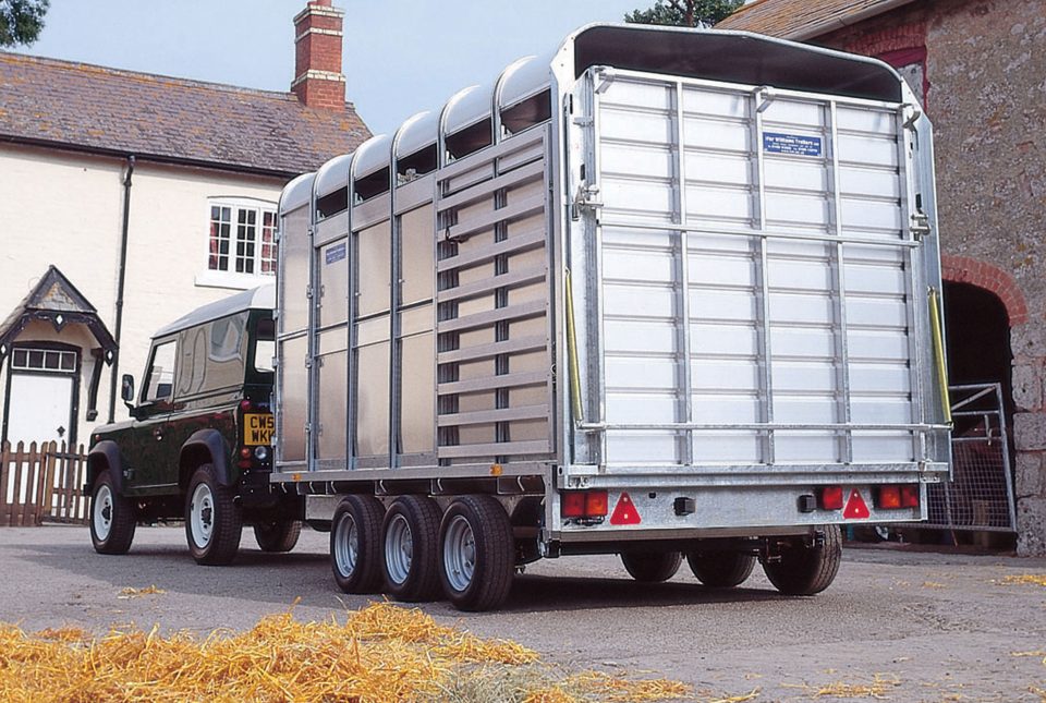 DP120 12 Ifor Williams Livestock, Westwood New Trailers