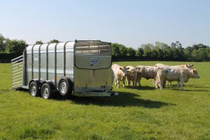 TA510 12 Ifor Williams Livestock, Westwood New Trailers,