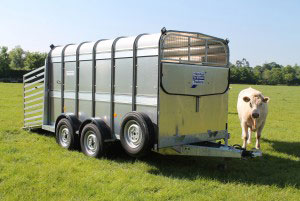 TA510 12 Ifor Williams Livestock, Westwood New Trailers,