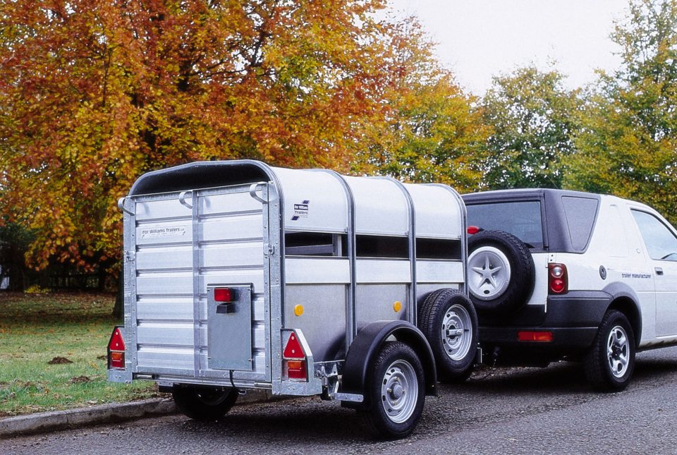 P6G Ifor Williams Livestock, Westwood New Trailers