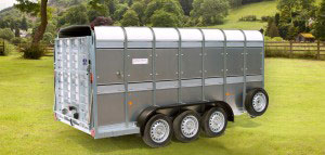 TA510 14 Ifor Williams Livestock, Westwood New Trailers