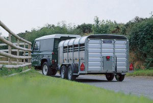 TA5 8 Ifor Williams Livestock, Westwood New Trailers