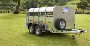 TA5 8 Ifor Williams Livestock, Westwood New Trailers, 4' Low Headroom